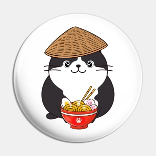 Funny fat cat is eating noodles Pin