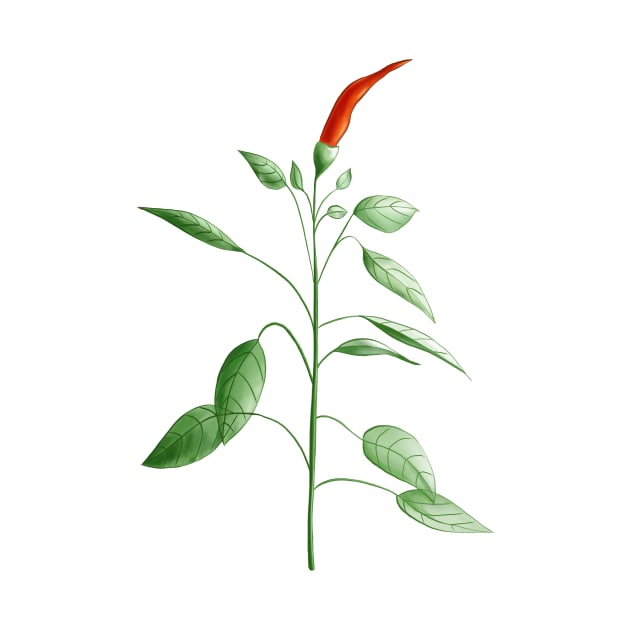 Hot Chili Pepper Plant Botanical Drawing by Boriana Giormova