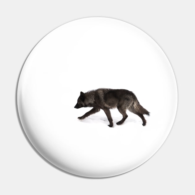 Black Wolf in winter Pin by Jim Cumming