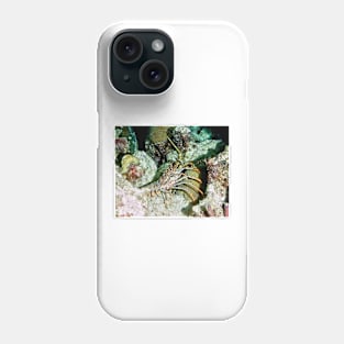 Caribbean Spotted Lobster on Night Dive Phone Case