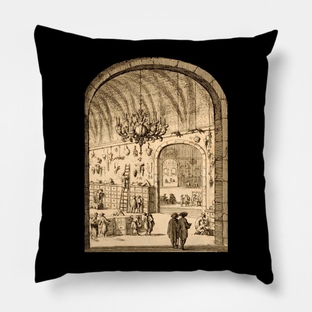 Curiosity Cabinet Pillow by Novis Imaginibus