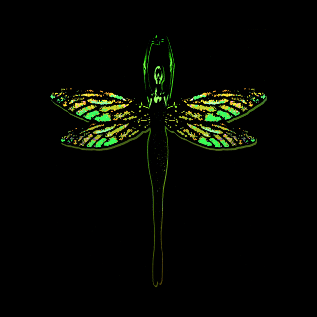 Lady Dragonfly by bronzarino