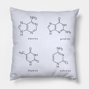 Hand Drawn DNA ACTG Acid Pack Pillow