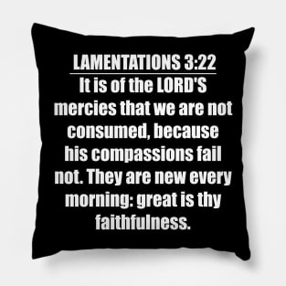 Lamentations 3:22 Bible verse " It is of the LORD'S mercies that we are not consumed, because his compassions fail not." King James Version (KJV) Pillow