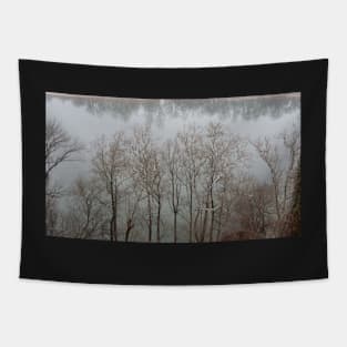 Grey Reflection Tapestry