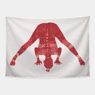 Prasarita Padottanasana in Red Tapestry