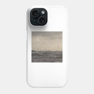 Seagulls over the stormy sea Phone Case