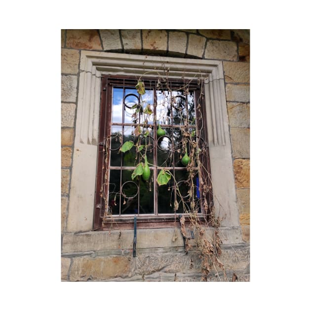 A pumpkin is hanging in the window by Gourmetkater