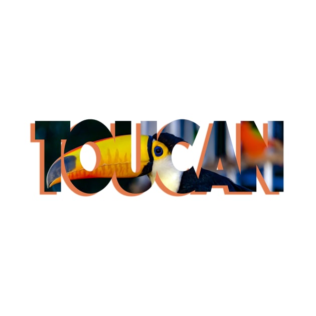 Toucan by likbatonboot