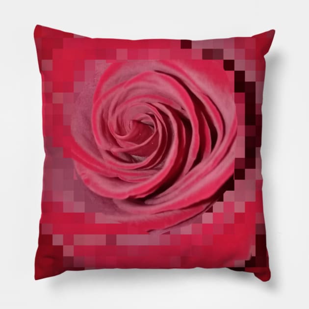 Red Rose Pillow by by Katerina