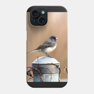 Dark-eyed Junco Standing On A Post Phone Case