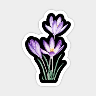 purple crocus flower watercolor Magnet