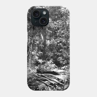 Vintage photo of Amazon Rainforest Phone Case