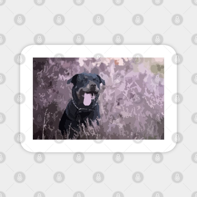 Rottweiler Digital Painting Magnet by gktb