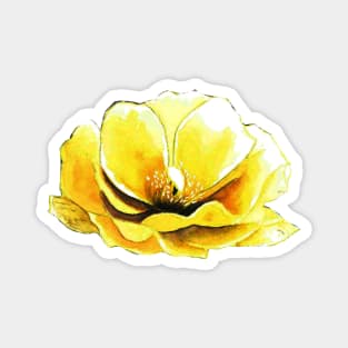 YELLOW PRICKLY PEAR CACTUS FLOWER Magnet