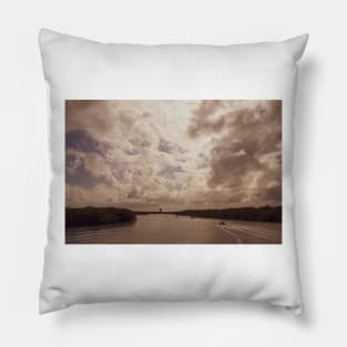 Everglades Pillow