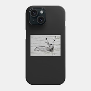 The Bradgate Deer Resting Phone Case