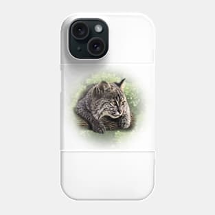 Bobcat cub Phone Case