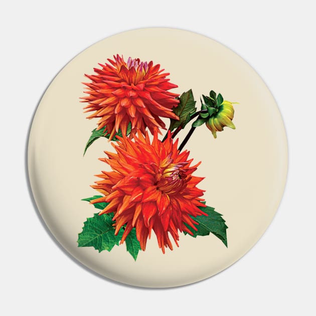 Dahlia Hot Shot Pin by SusanSavad