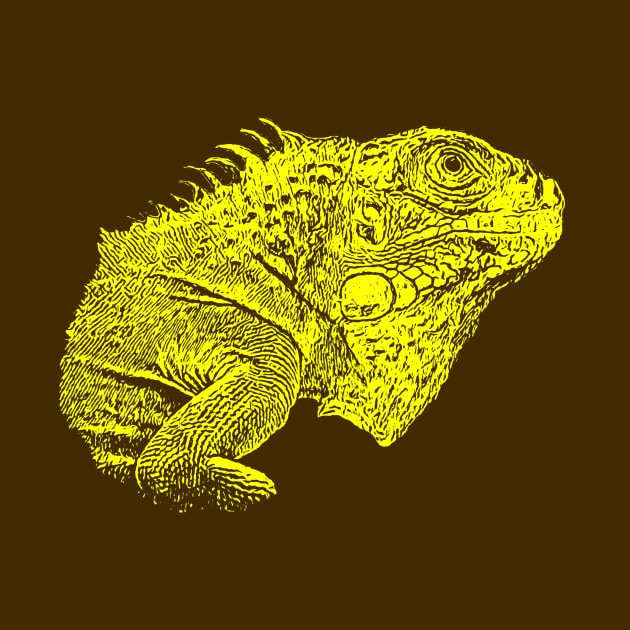 Iguana by Guardi