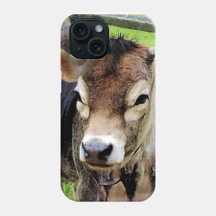 Cows - Calf Closeup Phone Case