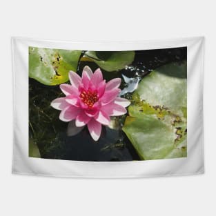 Pink water lily Tapestry