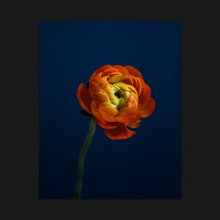 Orange Ranunculus T-Shirt