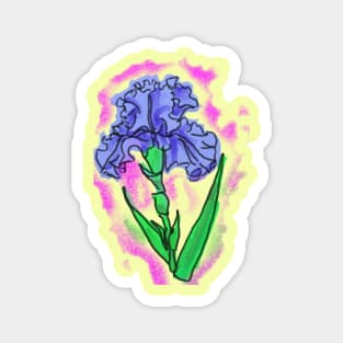 iris flower art Magnet