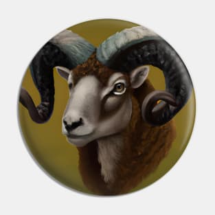 Dorset Horn Ram Pin