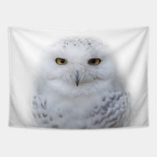 A Serene Snowy Owl Tapestry