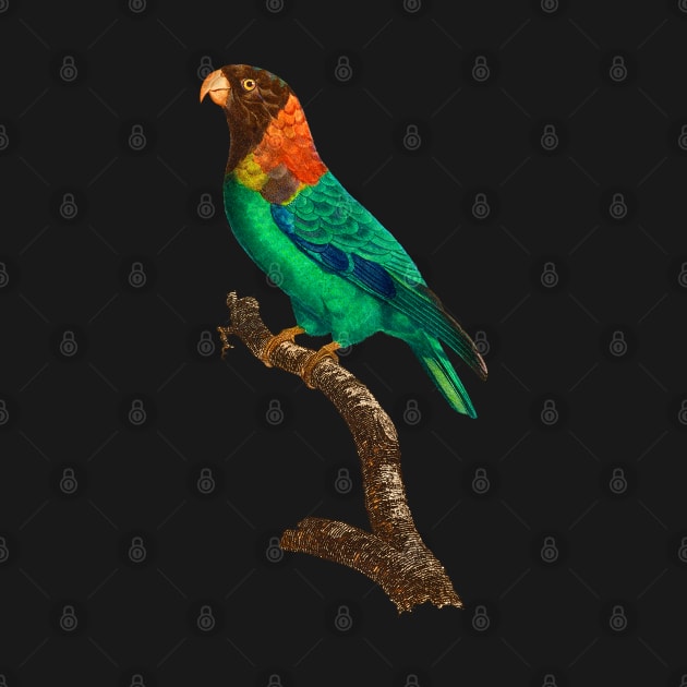 Black Panther Art - Beautiful Parrot 3 by The Black Panther