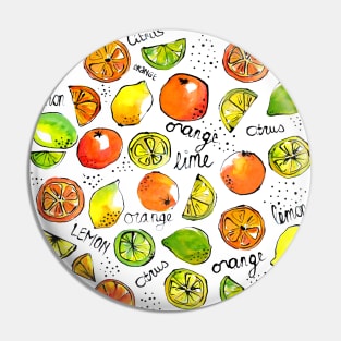 Citrus fruit lime orange lemon sketches food illustration Pin