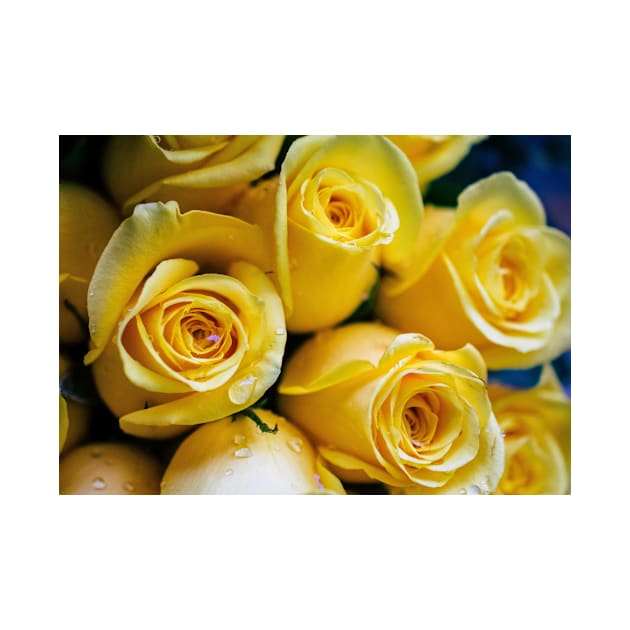 Beautiful Yellow Roses by NewburyBoutique