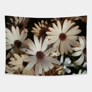 Daisies Tapestry