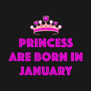 PRINCESS ARE BORN IN JANUARY LGBTQ+ T-Shirt