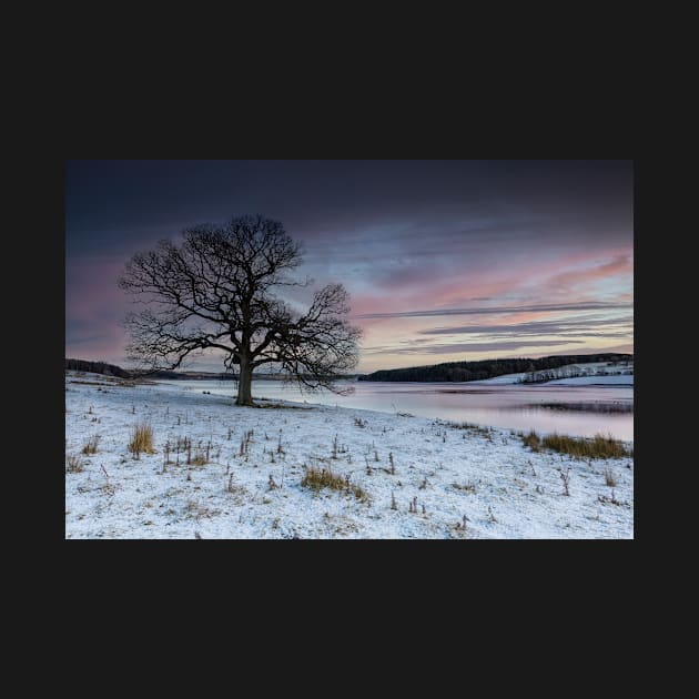 Derwent Reservoir Sunset by Reg-K-Atkinson