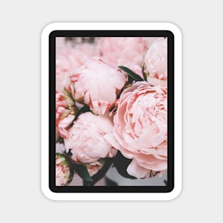 Flowers print, Pink, Pastel, Fashion print, Scandinavian art, Modern art, Wall art, Print, Minimalistic, Modern Magnet