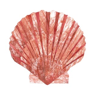 Scallop shell T-Shirt