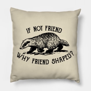 If not friend, why friend shaped? Pillow