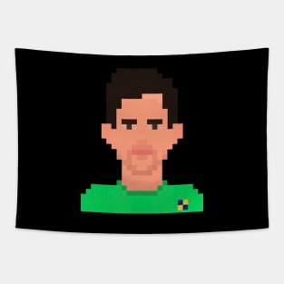 Courtois 8bit Tapestry