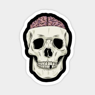 Skull showing Brain Magnet