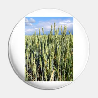 wheat Pin