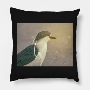 Black-Crowned Heron Pillow