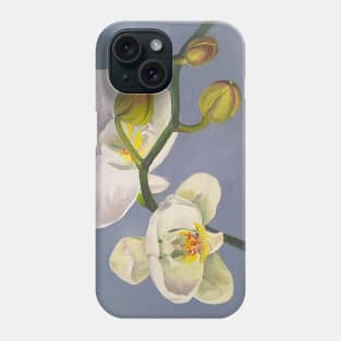 Phaelenopsis - moth orchid on blue Phone Case