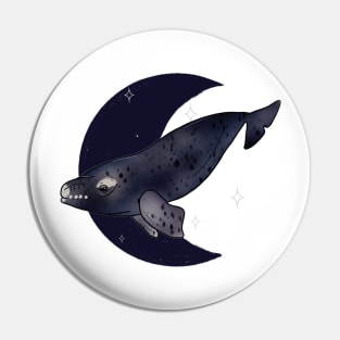 Right Whale Crescent - Navy Pin