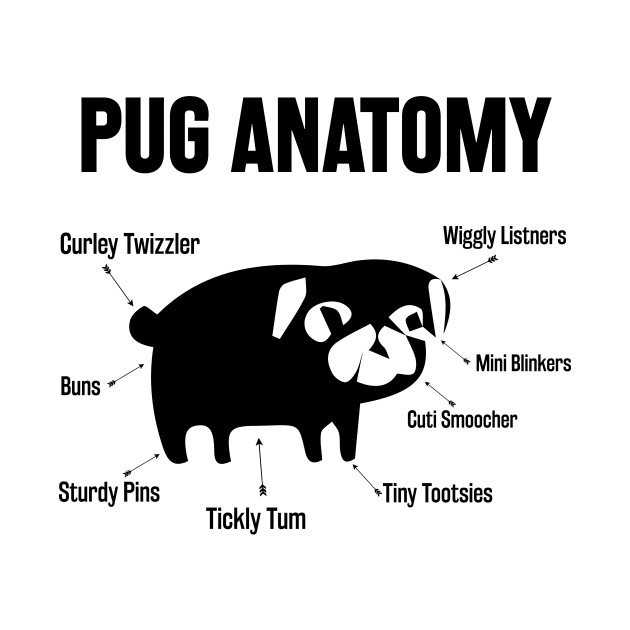 The Pug Anatomy by animericans