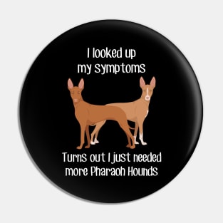 Need Pharaoh Hound Dog Pin