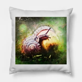 Snail Pillow