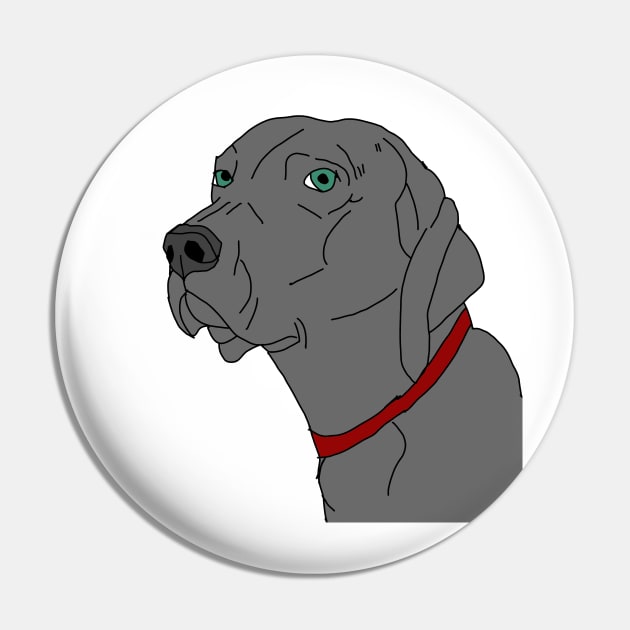 Weimaraner portrait Pin by Noamdelf06