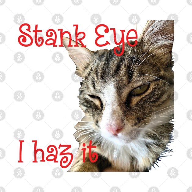 STANK EYE, I haz it! annoyed Maine Coon cat by TanoshiiNeko